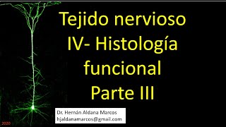 Histología funcional del tejido nervioso Video 3 de 6 Hernán Aldana Marcos [upl. by Lister]