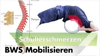 Brustwirbelsäule Mobilisieren  Schulterschmerzen amp Impingement Masterplan 2 [upl. by Laurance]