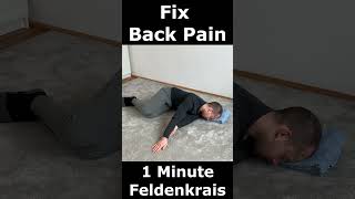 Fix Back Pain in 60 Seconds  1 Minute Feldenkrais [upl. by Nanahs978]