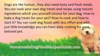 Dog Food Recipes Chicken Mince [upl. by Znieh267]