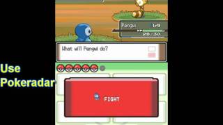 How to get Sentret Pokémon Platinum [upl. by Remmus597]