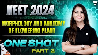 Morphology and Anatomy of Flowering Plants  One Shot  Part 2  NEET 2024  Seep Pahuja [upl. by Burck397]