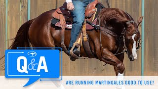 Are Running Martingales Good  QampA With Clinton Anderson [upl. by White]