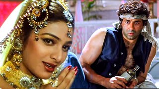 Dil Ka Kya Kare Saheb  Jeet  Sunny Deol Tabu  Kavita Krishnamurthy  90s Hits [upl. by Lertnek468]