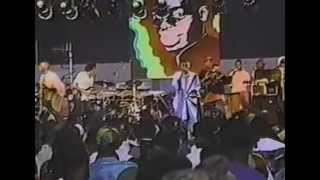 Buju Banton  Live in Nassau  Early 90s Island Life [upl. by Acisset]