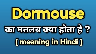 Dormouse Meaning in Hindi  Dormouse Ka Kya Matlab Hota Hai  Words Tube [upl. by Noyk]