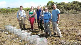 Illinois College Orchid Recovery Team [upl. by Kinelski861]