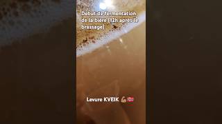 Début de fermentation dune bière avec une levure norvégienne KVEIK 12h après le brassage [upl. by Nolyaw272]