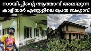 ഇവിടെ വെച്ചാണ് സായിപ്പിനെ കുത്തി കൊന്നത് അകത്തളങ്ങളിൽ രൂക്ഷ ഗന്ധം  Kaliyar Estate Bungalow [upl. by Ramberg]