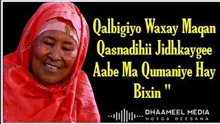 Caasha Cige Heestii  Ma Qumaniye Hay Bixin  Hees Qaraami Xul ah With Lyrics  Mudug Boy [upl. by Ardiedak399]