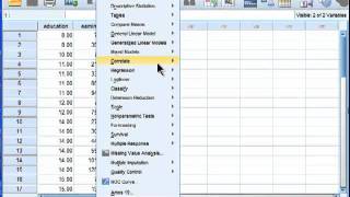 Linear Regression  SPSS part 1 [upl. by Disraeli]