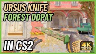 ★ CS2 Ursus Knife Forest DDPAT  CS2 Knife InGame Showcase 4K [upl. by Aid]