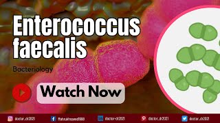 Enterococcus faecalis Classification Virulence and Antibiotic Resistance  A Comprehensive Guide [upl. by Niabi]