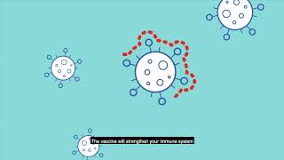 COVID19 vaccines – How vaccines work [upl. by Leone]