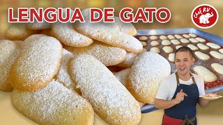 LENGUA DE GATO [upl. by Anaytat]