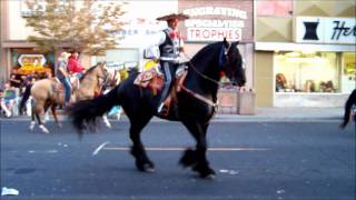 Mexican Dancing Horse in Hermiston Oregon August 6 2011 Parade youtubewmv [upl. by Aniuqahs]