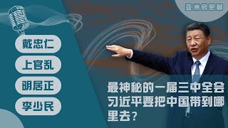 三中全会 习近平把邓小平的改革改没了（戴忠仁上官乱明居正李少民） [upl. by Enitnemelc]