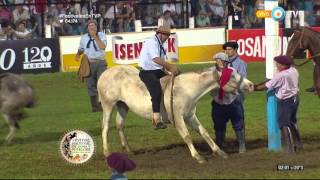 Jineteada en el Festival de Jesús María 2016 Tanda 4 [upl. by Radley]