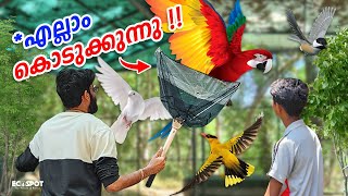 കിളികളെയെല്ലാം FREE ആയി കൊടുക്കുന്നു Exclusive Aviary Birds Giveaway for Subscribers [upl. by Kassandra567]