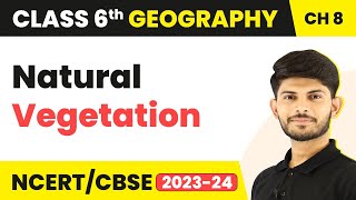 Natural Vegetation  India Climate Vegetation and Wildlife  Class 6 Geography Chapter 8 [upl. by Eenram]