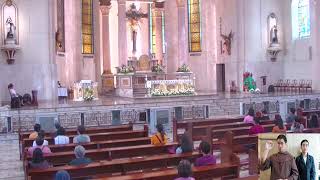 Mt Carmel Shrine Live Stream  Liturgical Services [upl. by Annis365]