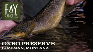 Bozeman MT Fishing Property  Oxbo Preserve [upl. by Nivram129]