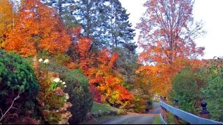 The Laurentians in Autumn SAINTSAUVEUR Quebec Canada [upl. by Annovoj]