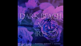 PASTEL GHOST  dark beach x iris mashup remix [upl. by Alleirbag]