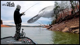 Finding Prespawn Bass on Highland Reservoirs with Shad Raps [upl. by Inglebert]