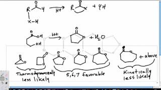 Lactone Formation Reactions [upl. by Ococ]