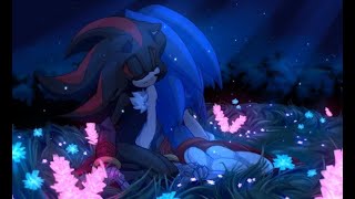 Love Someone PMV Sonadow 15 [upl. by Aivat]