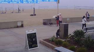 Hermosa Beach Good Stuff Strand Cam Live Camera Stream from Southern California [upl. by Nnylacissej334]