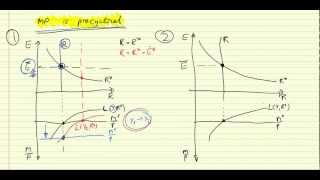 Fixed Exchange Rate [upl. by Ahsihat]