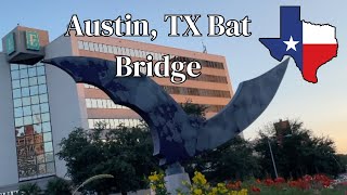 Downtown Austin TX and the quotBatquot Bridge [upl. by Ramhaj]