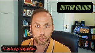 Il sostituto di imposta agricoltura [upl. by Nniw]