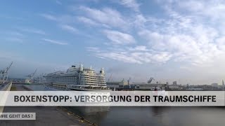 Versorgung und Abfertigung der TraumschiffeKreuzfahrtschiffe im Hafen Hamburg  NDR Doku [upl. by Milka]