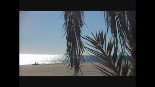 Plage de méditerranée  Chant des oiseaux soleil bruits des vagues Soleil  Ambiance Vacances [upl. by Nalym]