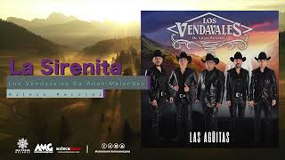 Los Vendavales De Adán Meléndez  Las Agüitas Disco Completo [upl. by Yanel]