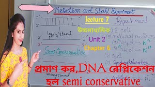 L7Meselson and Stahl experiment in BengaliProve DNA replication is semi ConservativeNCERTWBCHSE [upl. by Yhtomot]