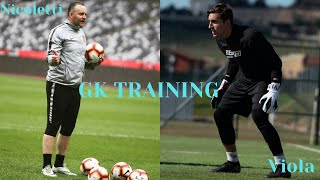 Complete Goalkeeper training  Mister Nicoletti [upl. by Norre]