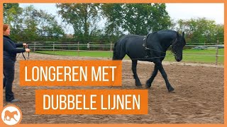 Leren longeren met dubbele longe [upl. by Calla]