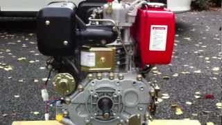 10HP diesel engine running [upl. by Dailey]