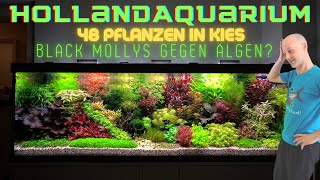 Wir sind sprachlos Unfassbares Hollandaquarium mit 48 verschiedenen Aquarienpflanzen in Kiesboden [upl. by Ravi]