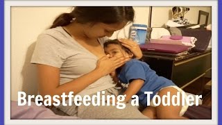 Breastfeeding a Toddler  April 25 2016  Ex2L [upl. by Ahsiuq886]