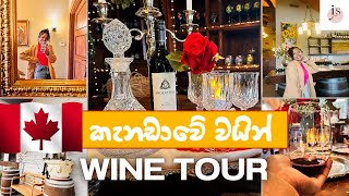 Wine Tour in Canada  කැනඩාවේ වයින් tour එක [upl. by Elodea]