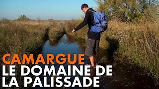 Randonnée Camargue  le Domaine de la Palissade Carnets de Rando 14 HD720p [upl. by Temple]