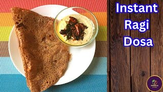 Ragi Dosa  Instant Crispy Ragi Dose With Peanut Chutney  Healthy Breakfast  Finger Millet Recipe [upl. by Enilreug868]