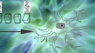 Bioelectricity Morphology amp Electroceuticals  Electricity of Life [upl. by Abdella]