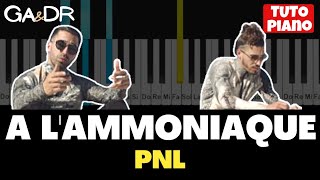 PNL  A lAmmoniaque  PIANO COVER TUTORIAL   GaampDr Piano [upl. by Eldridge737]