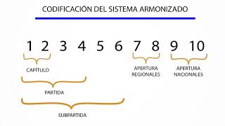 CODIFICACIÓN DEL SISTEMA ARMONIZADO Y CLASIFICACIÓN ARANCELARIA NANDINA  ARANCEL 2020 BOLIVIA [upl. by Kacy]